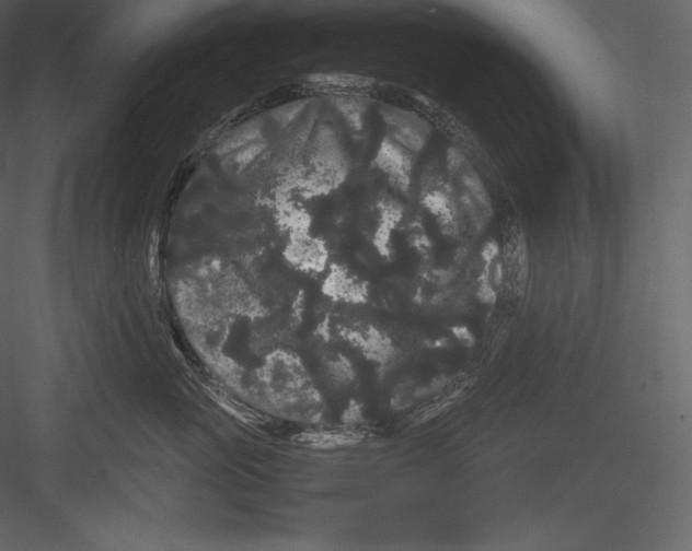 X0000082940765200702222246