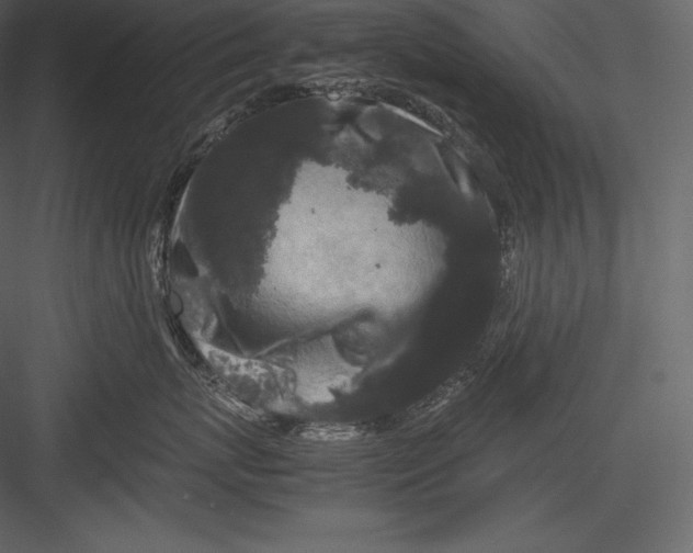 X0000082940767200702222247