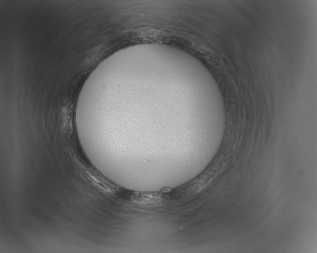 X0000082940768200702222247