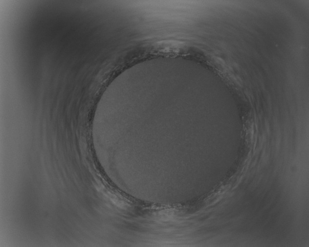 X0000082940769200702222246