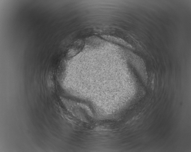 X0000082940770200702222246