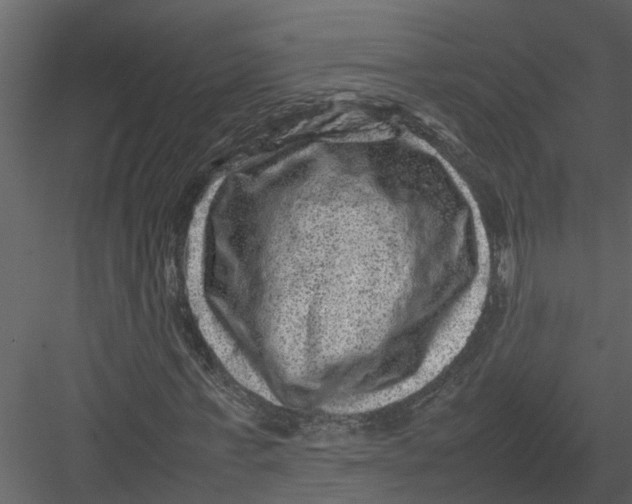 X0000082940771200702222246