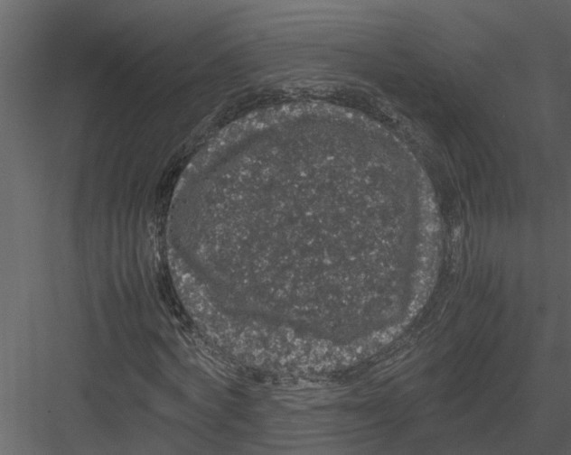 X0000082940772200702222246