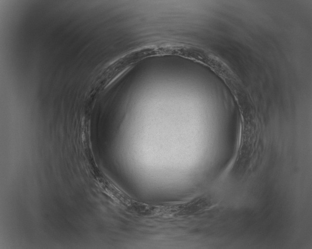 X0000082940773200702222246