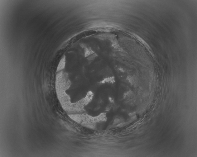 X0000082940775200702222246