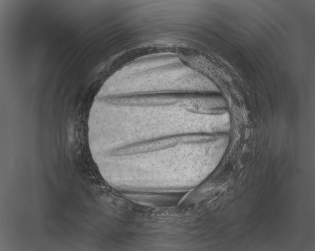 X0000082940776200702222246