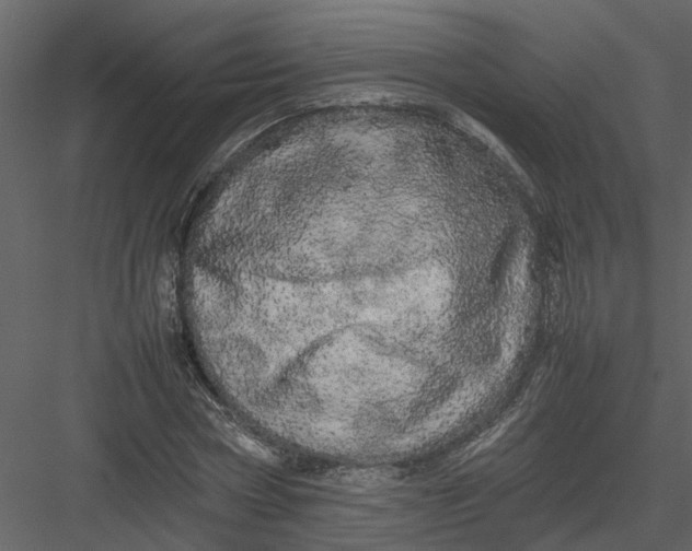 X0000082940778200702222246