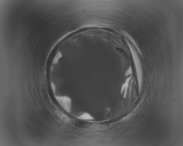 X0000082940779200702222246