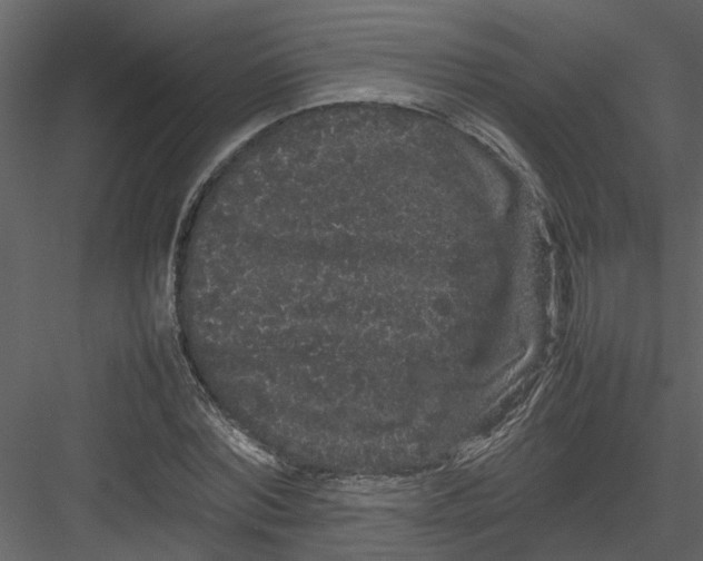 X0000082940780200702222246