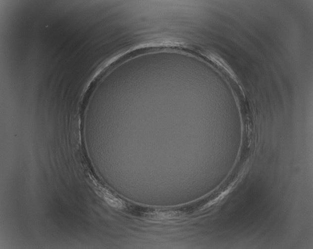 X0000082940781200702222245