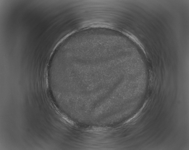 X0000082940782200702222245