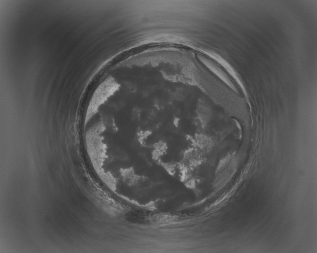 X0000082940783200702222245