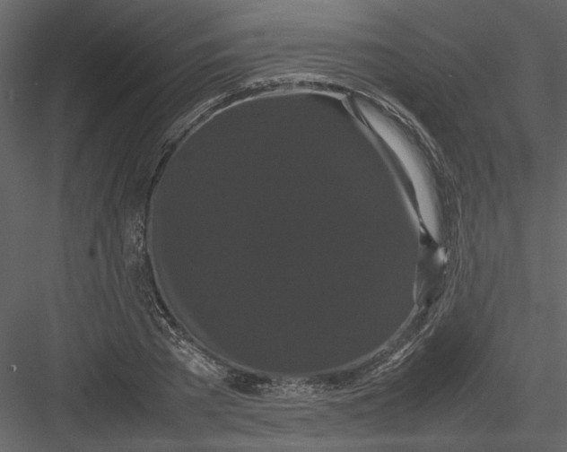 X0000082940785200702222245