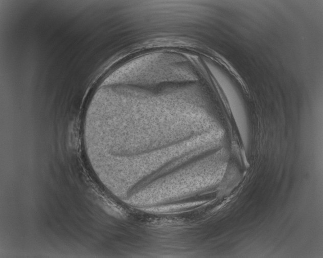 X0000082940786200702222245