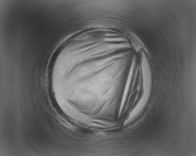 X0000082940787200702222245