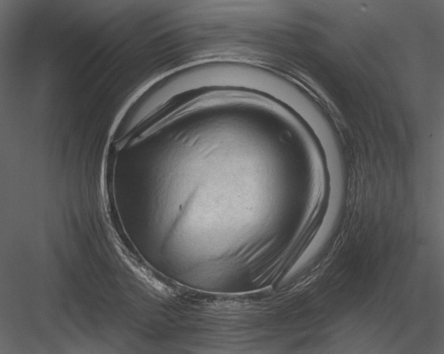 X0000082940788200702222245