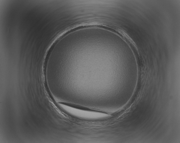 X0000082940789200702222245