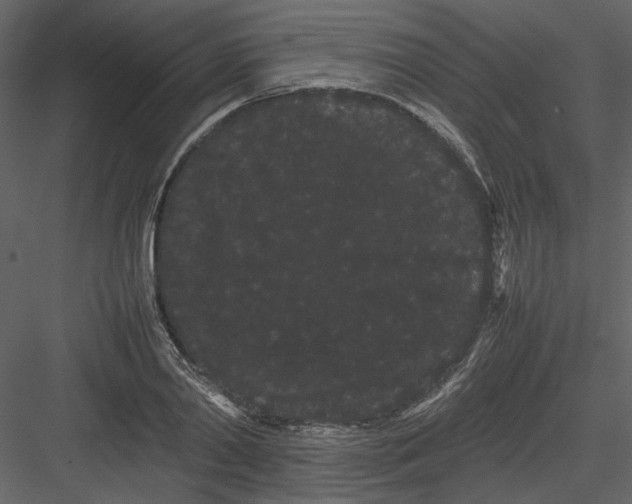 X0000082940790200702222245