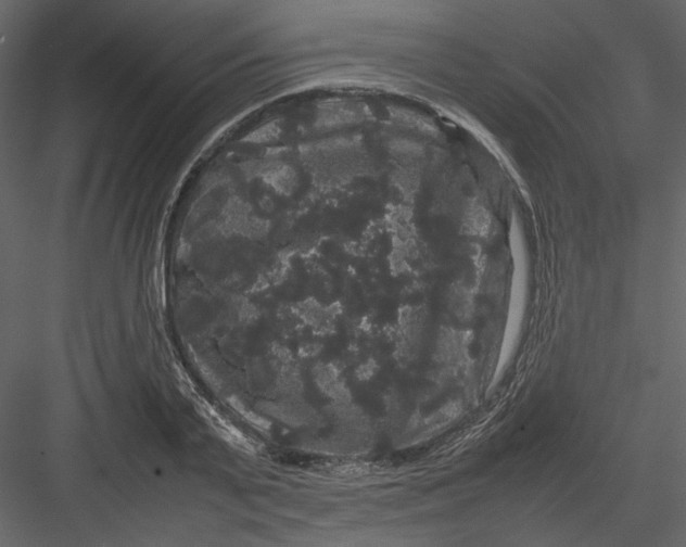 X0000082940791200702222245