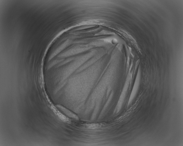 X0000082940792200702222245