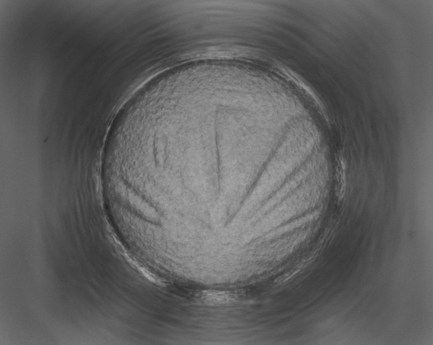 X0000082940794200702222245