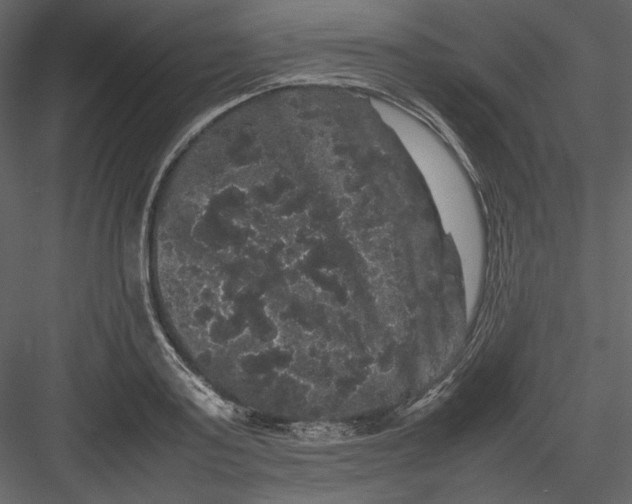 X0000082940795200702222245