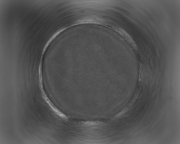 X0000082940796200702222245