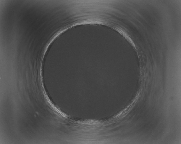 X0000082940797200702222245