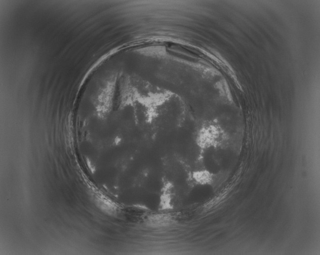 X0000082940798200702222245