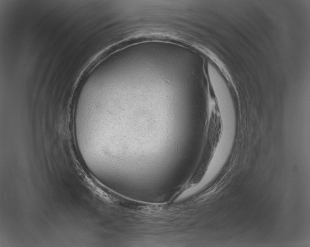 X0000082940799200702222245