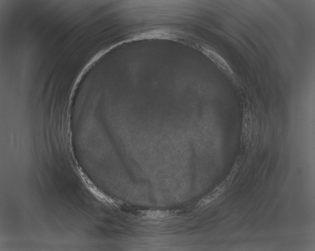 X0000082940800200702222245