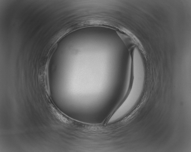 X0000082940801200702222245