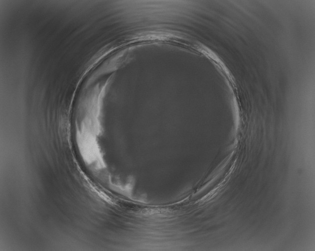 X0000082940802200702222245