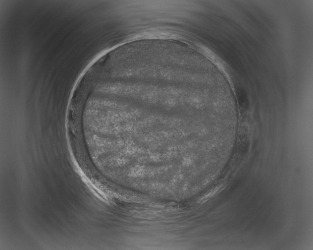 X0000082940803200702222245