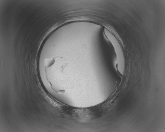 X0000082940805200702222245