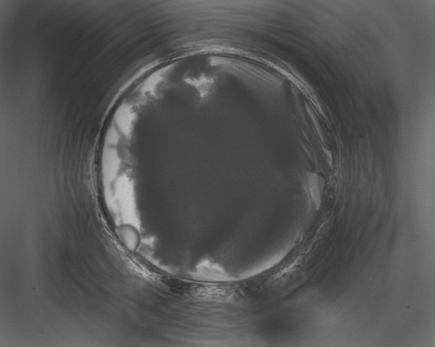 X0000082940806200702222245