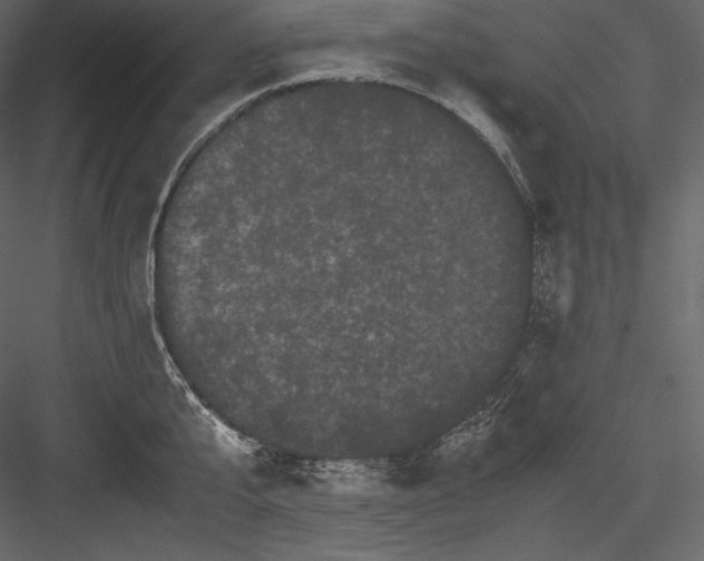 X0000082940807200702222245