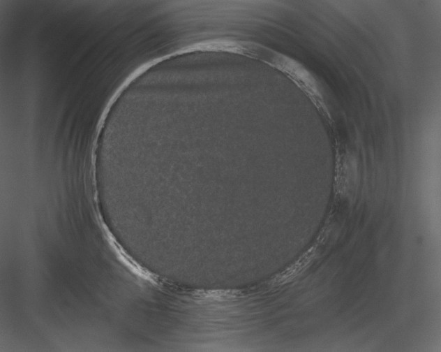 X0000082940808200702222245