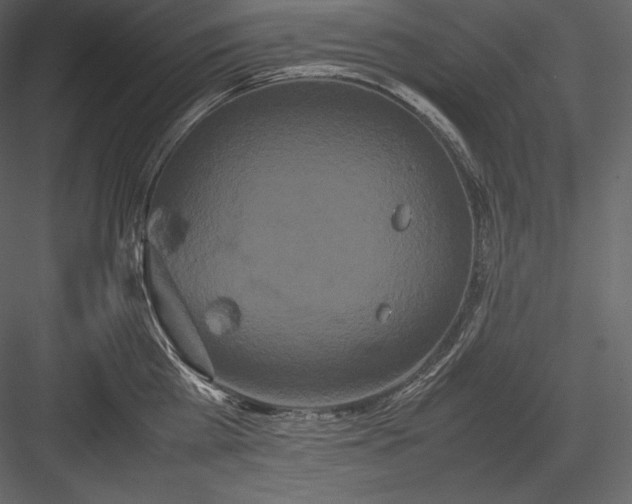 X0000082940809200702222245