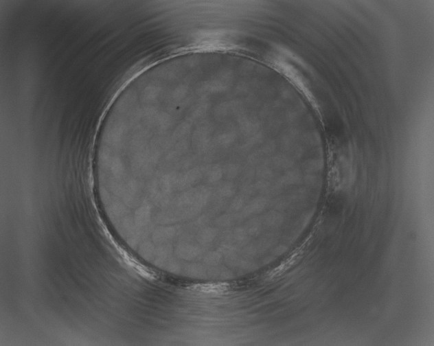 X0000082940810200702222245