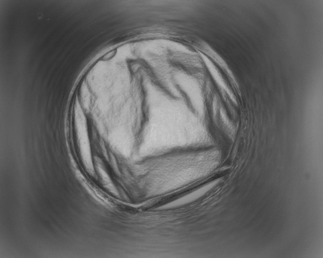 X0000082940811200702222245