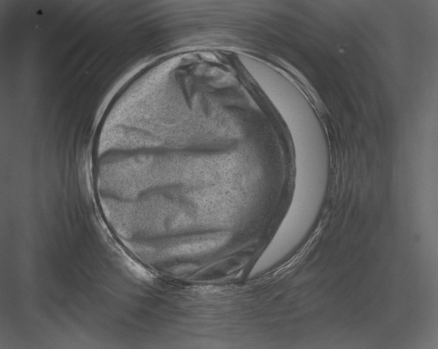 X0000082940812200702222245