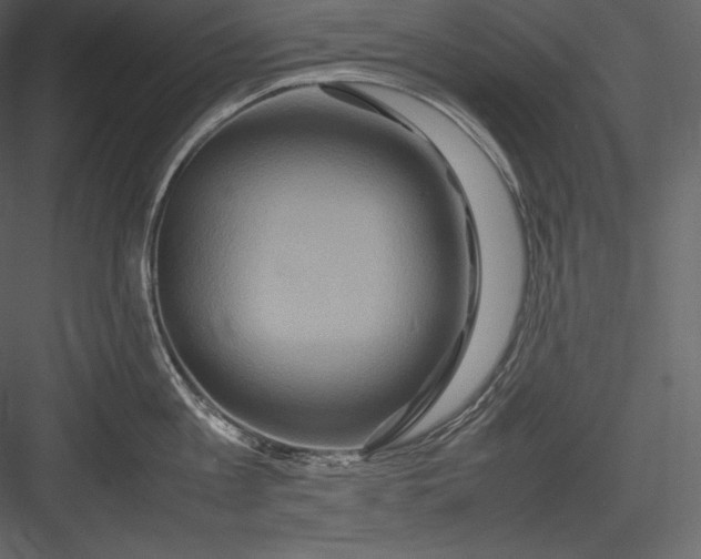 X0000082940813200702222245