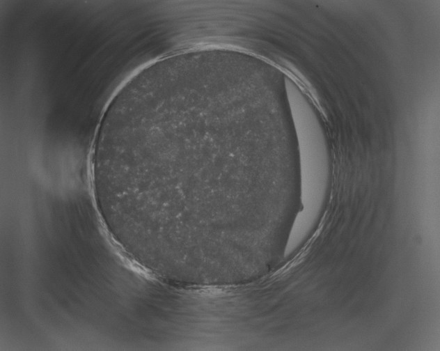 X0000082940814200702222245