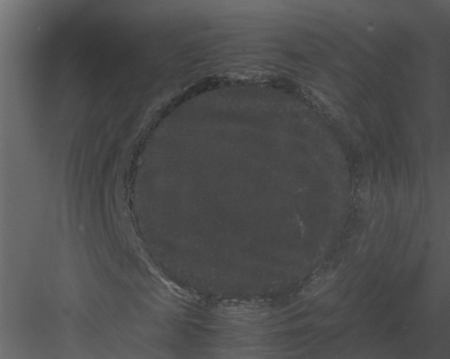 X0000082940817200702222244