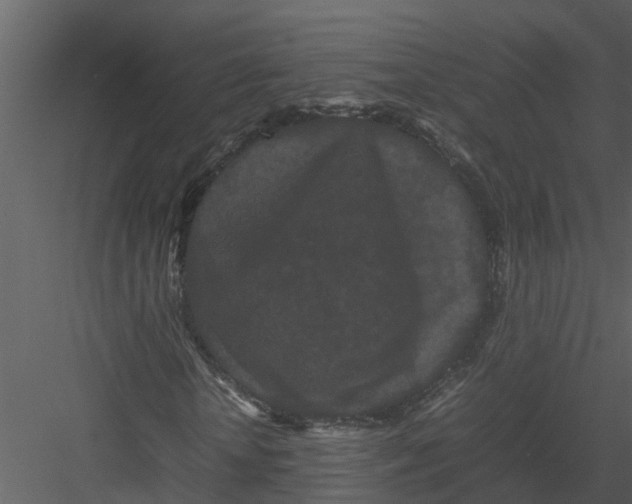 X0000082940818200702222244