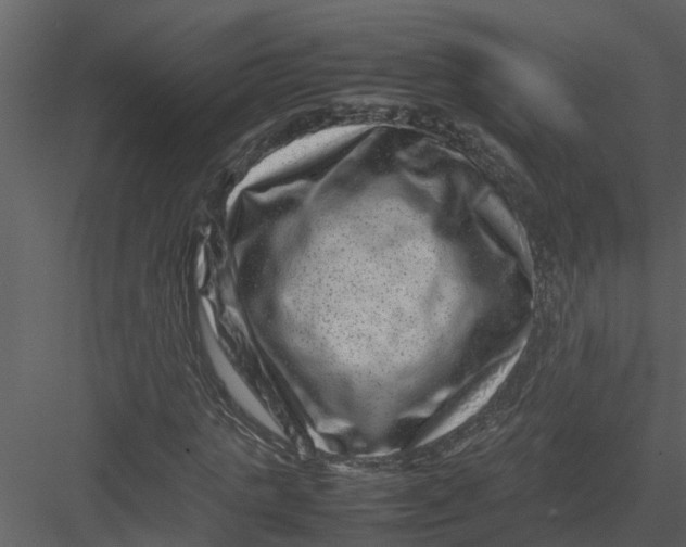 X0000082940821200702222244