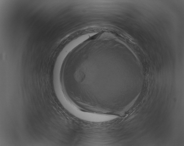 X0000082940822200702222244