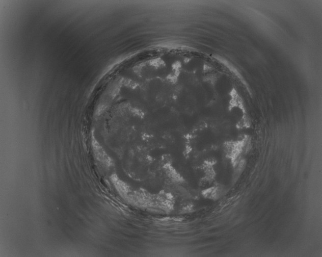 X0000082940823200702222244