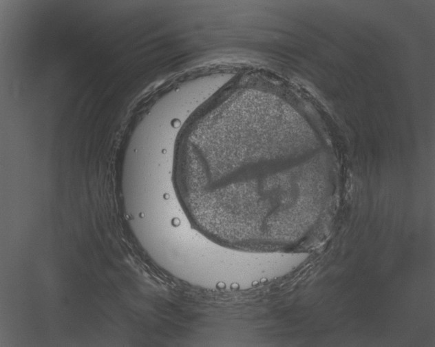 X0000082940824200702222244